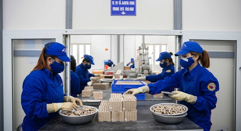 Khởi động dự án 90 tỷ đồng sản xuất khuôn pháo hoa tại Phú Thọ