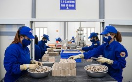 Khởi động dự án 90 tỷ đồng sản xuất khuôn pháo hoa tại Phú Thọ